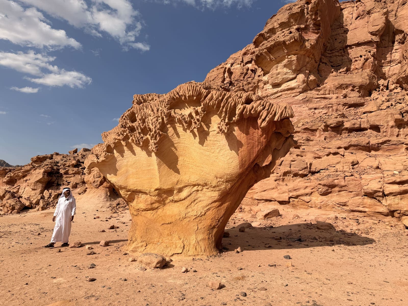 Deserto Sharm el Sheikh: com'è davvero, chi sono i beduini e quale escursione scegliere