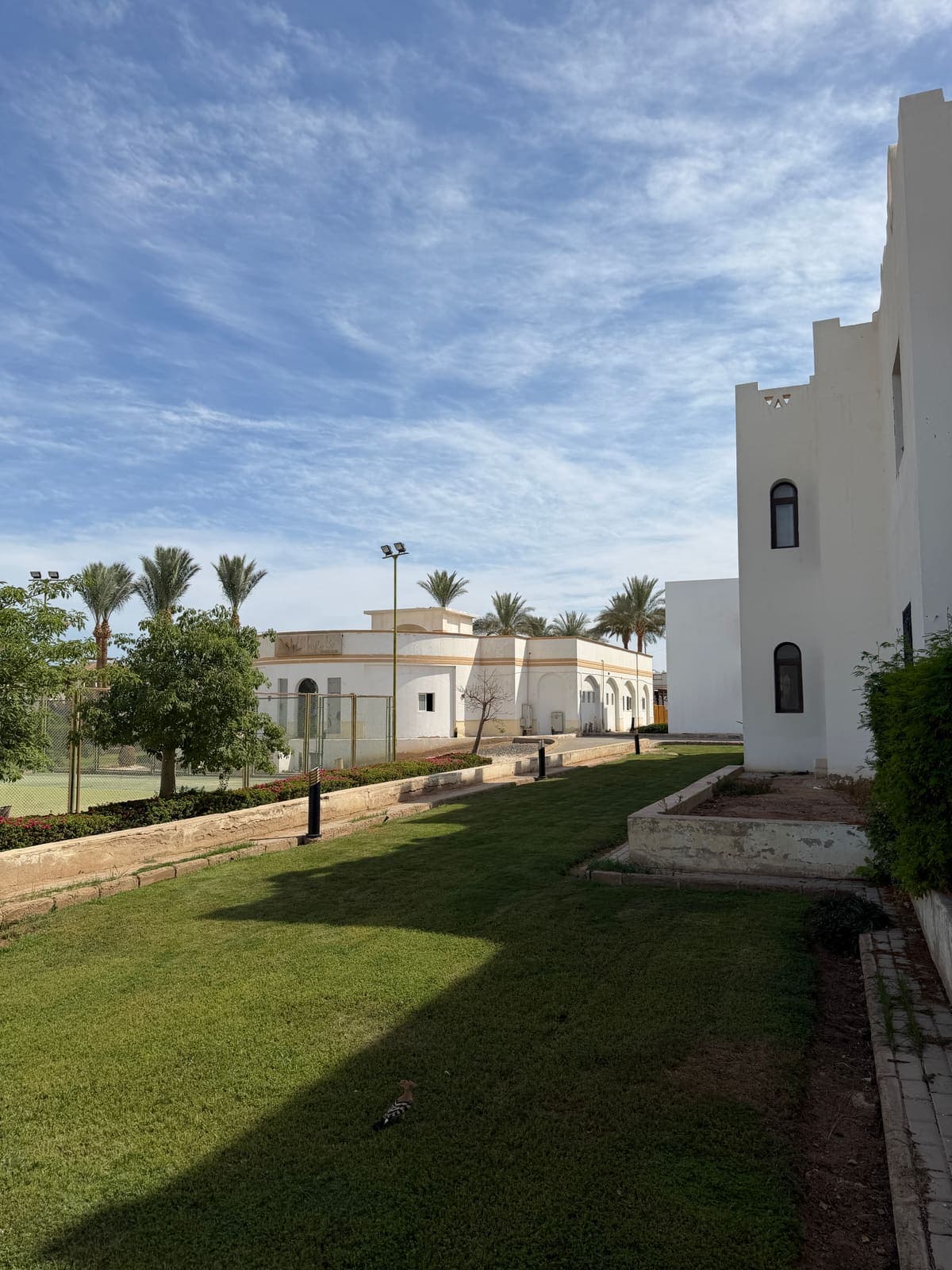 Edifici bianchi del complesso Diar el Rabwa con giardino e palme