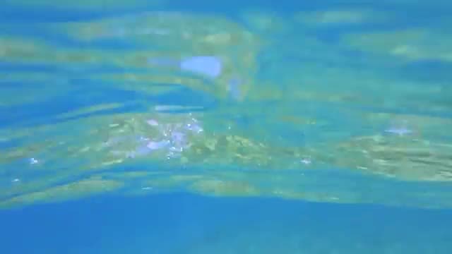 L'acqua cristallina davanti all'Albatros Sharm con le chiazze di corallo che si vedono sul fondale vicino a riva