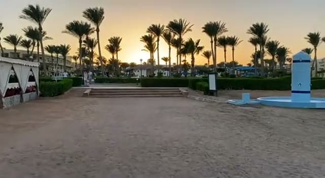 Il tramonto sul giardino dell'Amwaj Hotel, con le palme in controluce e la tenda beduina sulla sinistra
