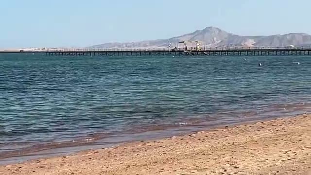 Il pontile dell'Aurora Oriental con l'isola di Tiran e le montagne sullo sfondo, visto dalla spiaggia