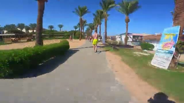 La passeggiata pavimentata fra palme e siepi che corre lungo tutta la spiaggia del Caribbean World Hurghada, con un ospite che cammina verso uno dei bar