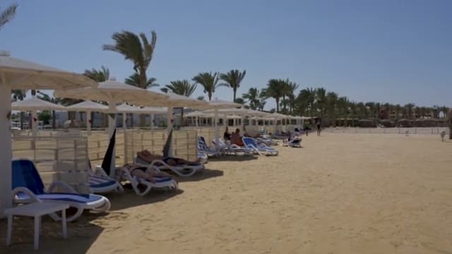 Ombrelloni, sdraio e paravento sulla sabbia della spiaggia del Casa Blu, con la fila di palme alle spalle