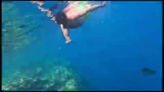 Snorkeling sulla barriera corallina del Charmillion, con i coralli e i pesci ben visibili sul fondale
