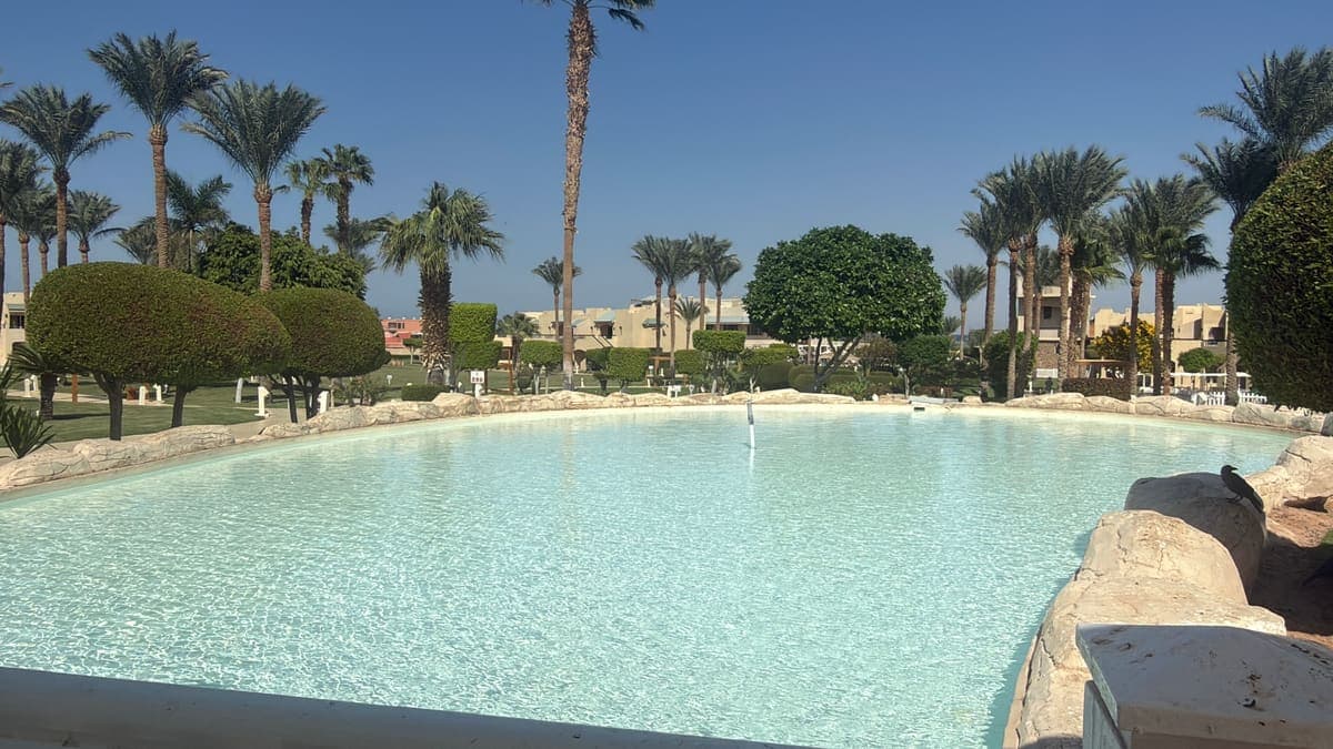 Una delle piscine del Coral Sea Holiday, con l'acqua chiara e le palme sullo sfondo