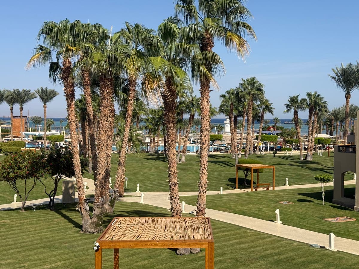 La vista dal balcone della camera del Coral Sea Holiday: il prato, le palme e il mare in fondo