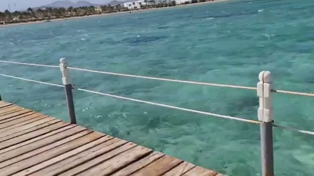 Il pontile in legno del Coral Sea Waterworld che avanza sull'acqua turchese verso la barriera corallina