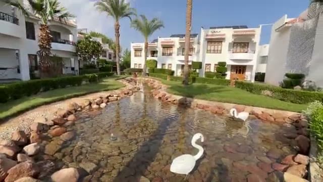 Il laghettino ornamentale del Dive Inn con i cigni fra le casette bianche del resort