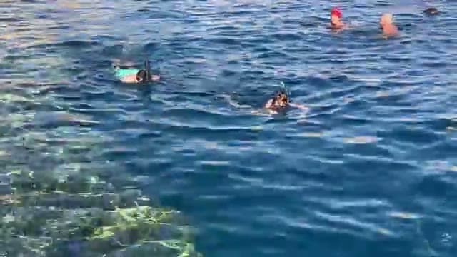 Bagnanti con maschera e boccaglio sopra la barriera corallina del Dreams Beach, nell'acqua limpida davanti al pontile