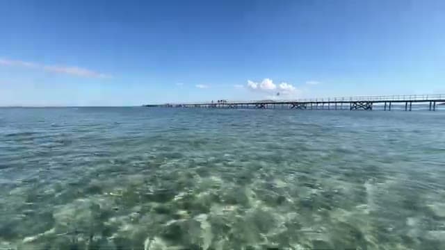 Il pontile corto del Grand Oasis Resort sull'acqua turchese e trasparente, con la barriera corallina molto vicina