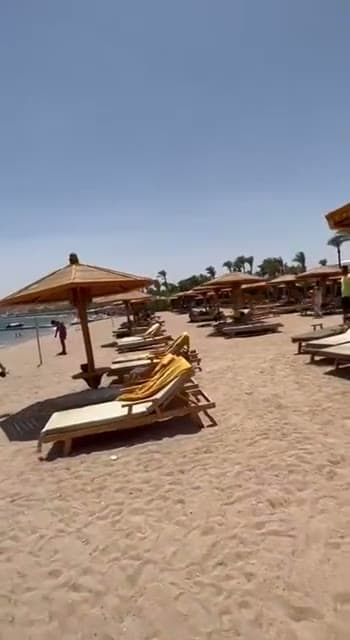 La spiaggia sabbiosa del resort con lettini e ombrelloni di paglia a pochi passi dall'acqua