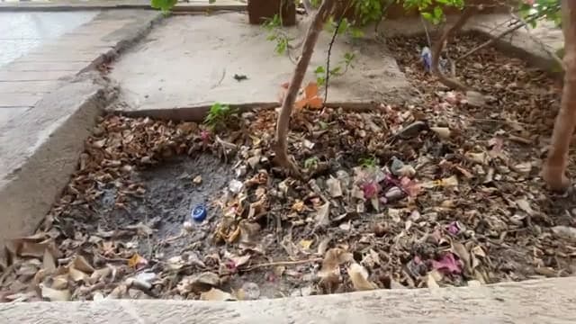 L'aiuola nella zona comune del Naama Blu piena di foglie secche e tappi di bottiglia di plastica