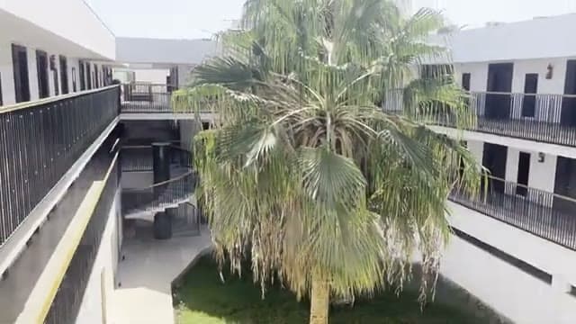 Il cortile interno del Panorama Naama Heights con la grande palma al centro fra i ballatoi delle camere