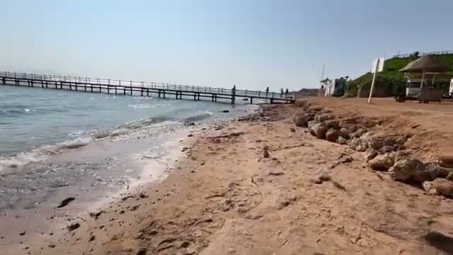 La spiaggia del Parrotel Beach con il pontile sullo sfondo, dove arriva la navetta del Parrotel Lagoon