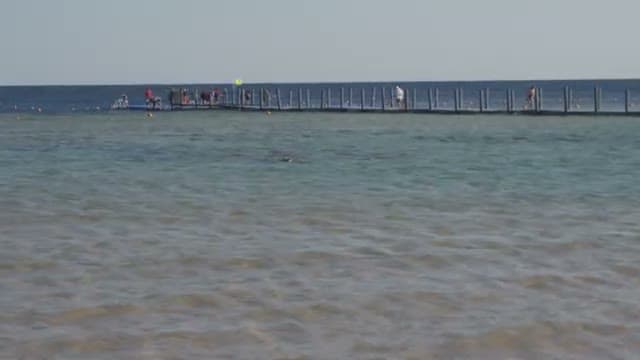 Il pontile robusto del PickAlbatros Palace: alla fine si trova un punto snorkeling fenomenale tra pesci e coralli in ottime condizioni