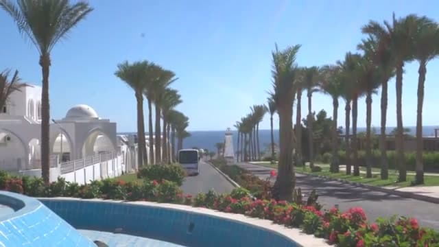 Il viale di palme che scende verso il mare all'ingresso del Sunrise Remal Beach, nella zona di Montasa a Sharm el-Sheikh