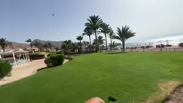 I giardini del Tropitel Dahab Hotel con le montagne del Sinai sullo sfondo e il mare di Dahab appena oltre le palme