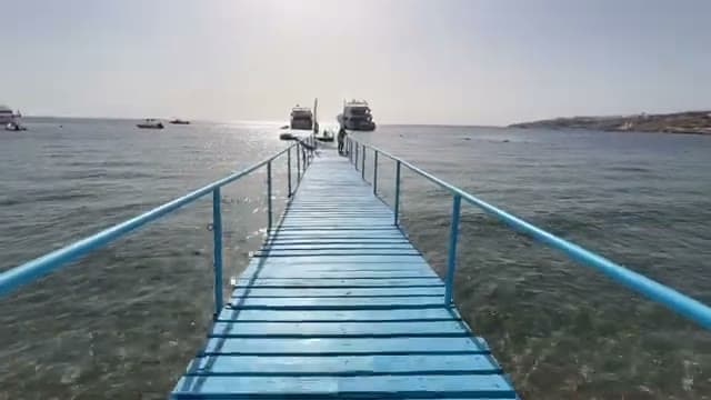 Umbi Sharks Bay: recensione
