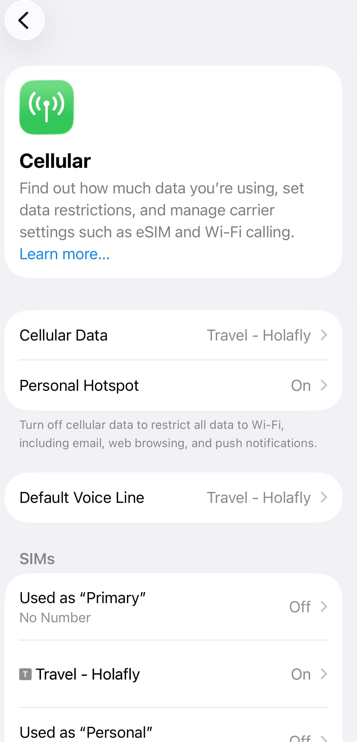 La schermata Cellulare dell'iPhone con la eSIM di viaggio scelta come linea dati