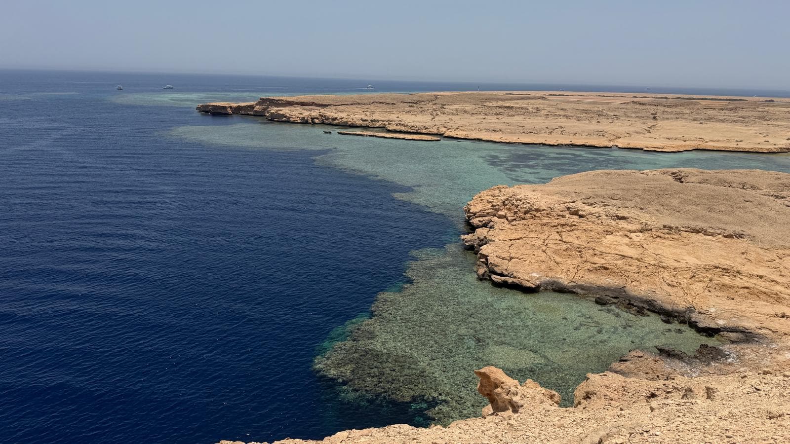 Barriera Corallina a Sharm el Sheikh: Dove Vederla, Spiagge e Hotel