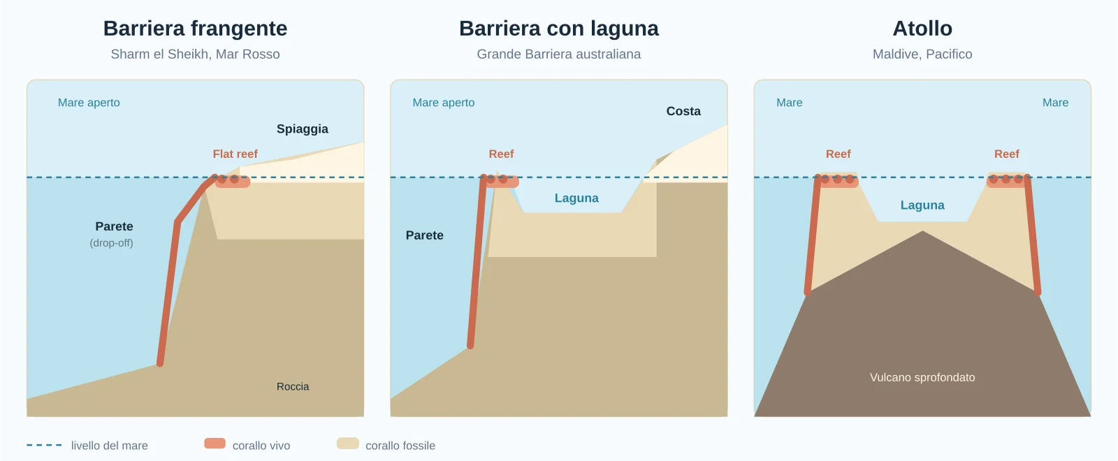 Schema dei tre tipi di barriera corallina in sezione: la frangente attaccata alla costa con flat reef e parete, la barriera separata dalla terra da una laguna, l'atollo ad anello cresciuto su un vulcano sprofondato