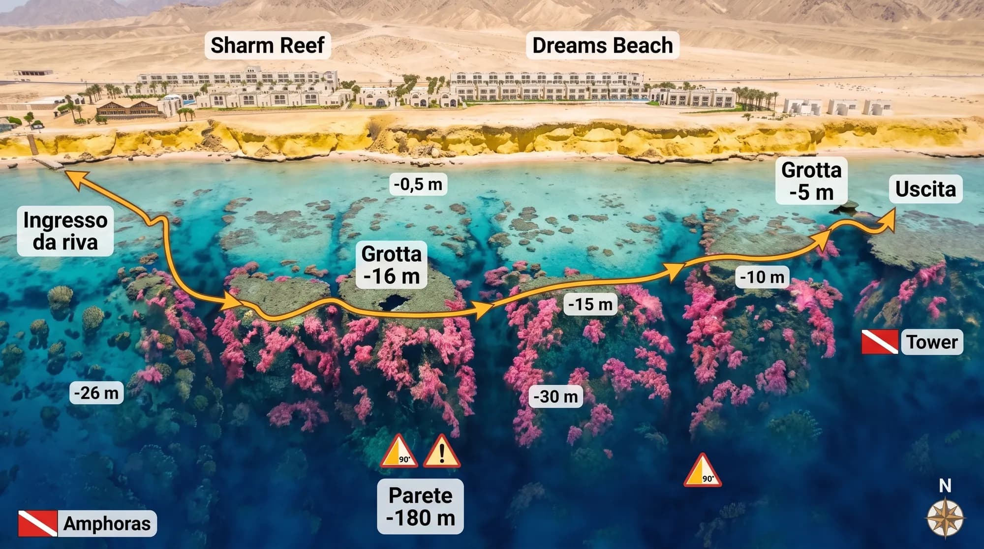 Mappa di Pinky Wall: lo Sharm Reef e il Dreams Beach in cima alla scogliera, l'ingresso da riva, la parete coperta di coralli molli rosa e la caduta oltre i -180 m