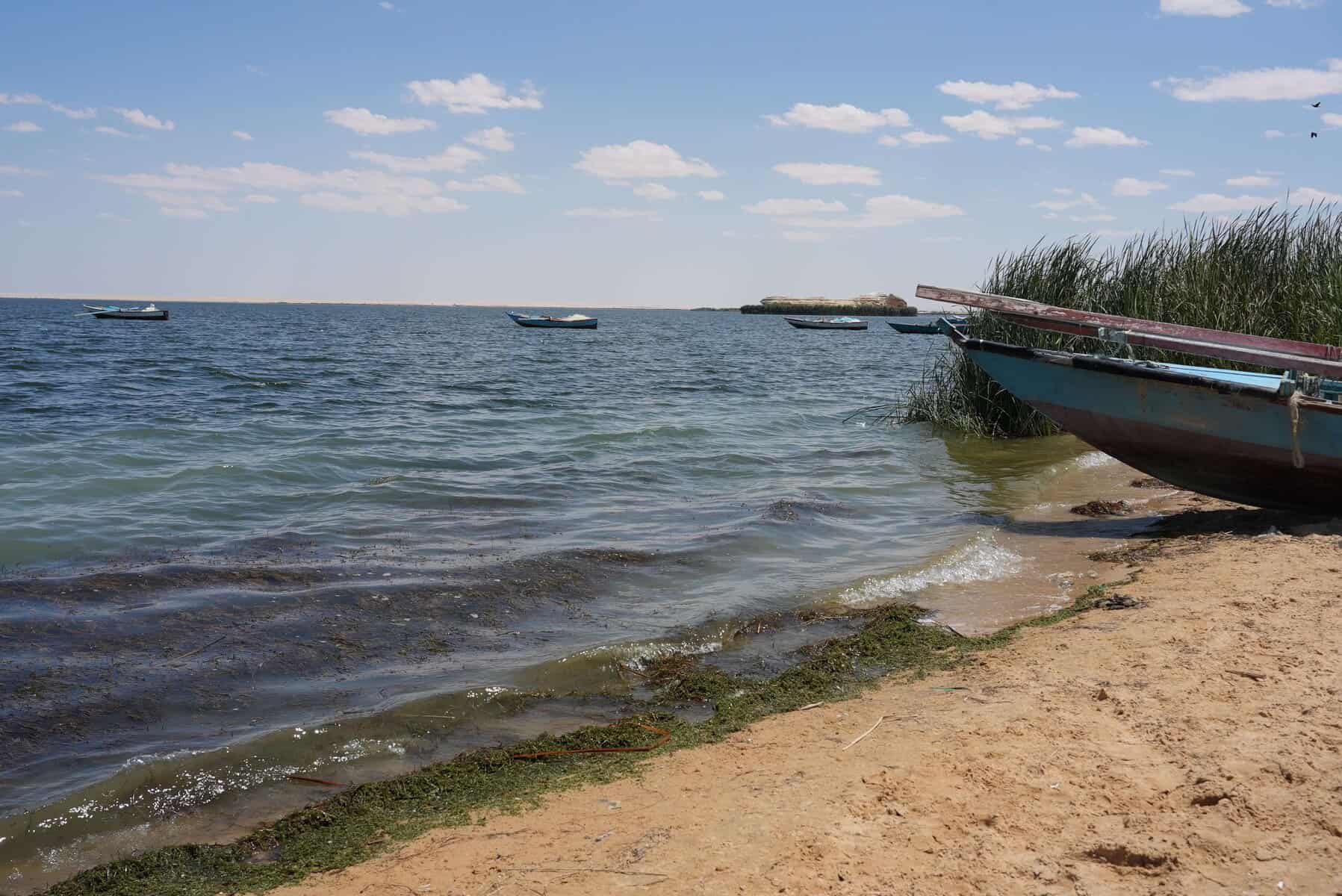 Spiaggia con barche da pesca tradizionali ormeggiate vicino alla riva, acqua blu e canne di palude, cielo sereno