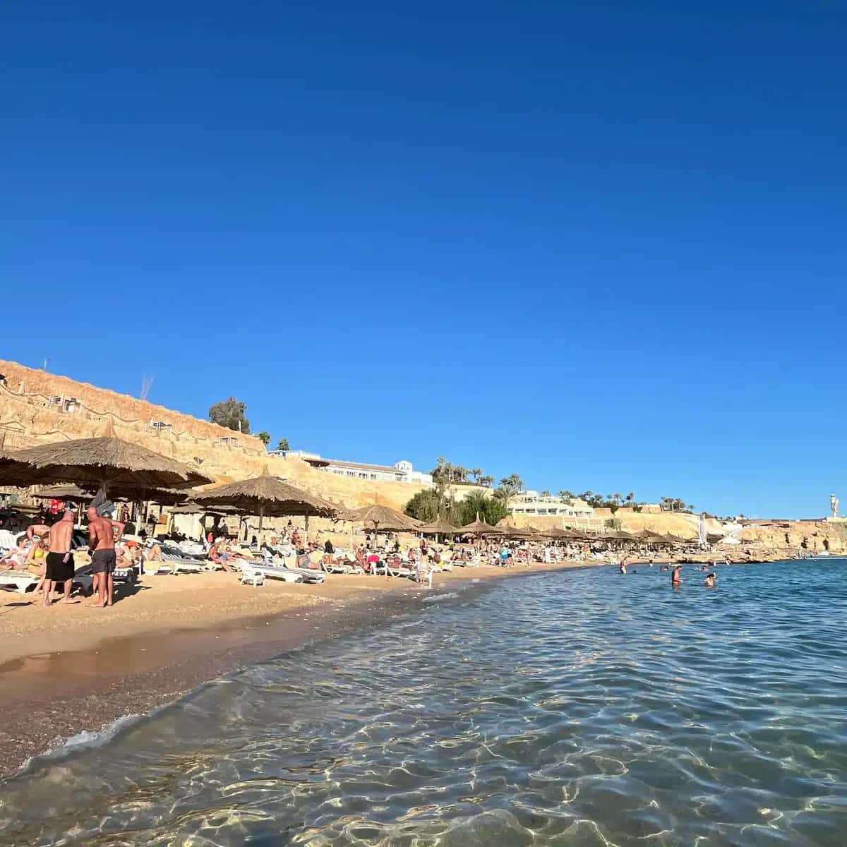 10 Migliori Hotel Economici di Sharm el Sheikh