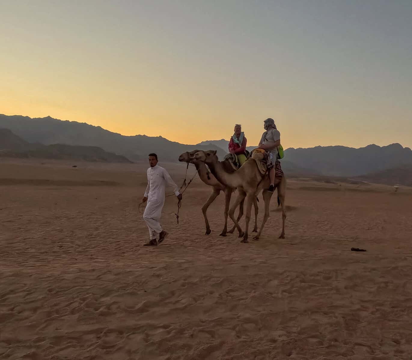 2 persone su 2 dromedari nel deserto al tramonto con guida beduina
