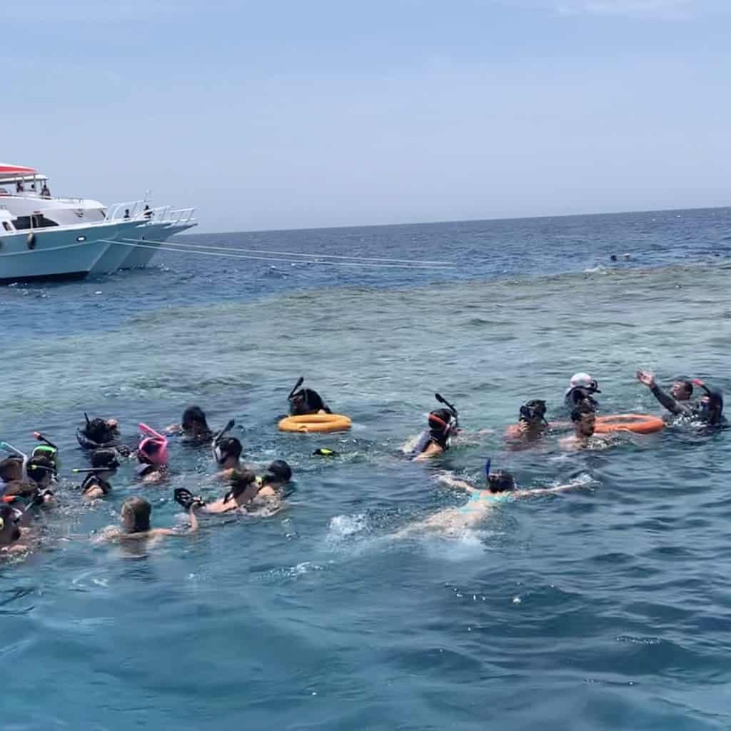 fermata di snorkeling all' isola che non c' è
