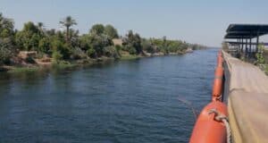 vista dalla crociera sul nilo sulle rive e alberi